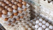 درج قیمت مصرف‌کننده بر روی مرغ و تخم‌مرغ اجباری شد