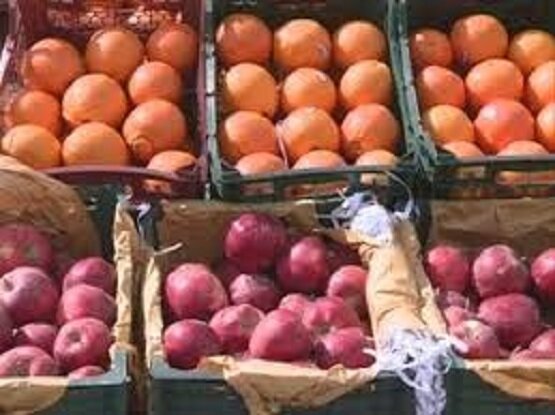 پرتقال ۲۰ هزار تومانی از کشاورز ۵ هزار تومان خریداری می‌شود!