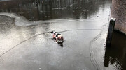 فرو رفتن اسکیت باز در آب پس از شکسته شدن یخ کانال/ فیلم