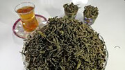 تولید داروهای ضد سرطان از چای سبز