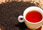 چای سیاه هم می‌تواند مضر باشد؟