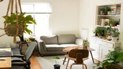 از بین بردن بوی بد منزل و خوشبوکردن فضای خانه با چند روش ساده + آموزش