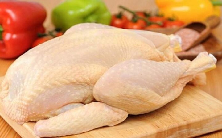  کاهش قیمت مرغ به نرخ مصوب بعید است