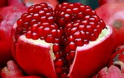 میوه های مفید برای سلامت بدن در فصل زمستان