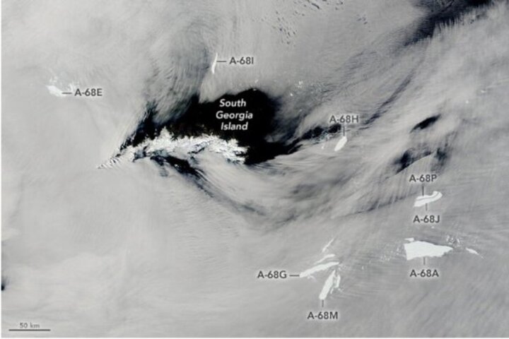 بزرگترین کوه یخی جهان شکسته شد/ عکس