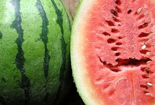 هندوانه هایی که موجب ابتلا افراد به سرطان می شود