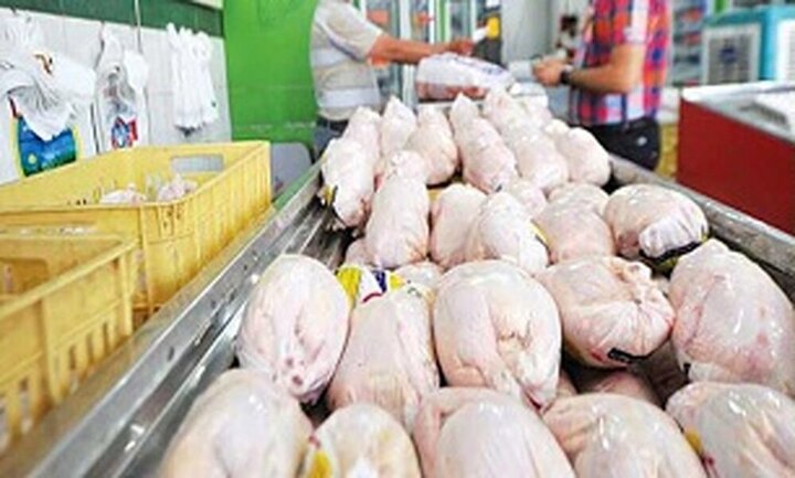 روند کاهش قیمت مرغ در بازار آغاز شد