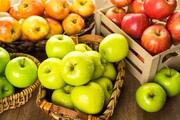 تاثیر مصرف سیب در لاغری و کاهش وزن افراد