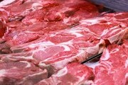 قیمت دام افزایش نیافته است/ واسطه‌ها باعث تنش در بازار گوشت می‌شوند