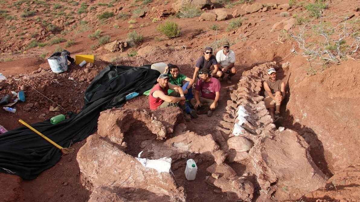 بقایای قدیمی‌ترین دایناسور کره زمین کشف شد/ تصاویر