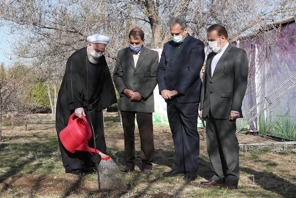 غرس نهال توسط رئیس جمهور در روز درختکاری / تصاویر