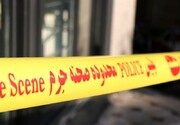 قتل عام فجیع خانوادگی در تهران توسط دختر ۲۴ ساله/ یک جنازه در اسید سوزانده شد!