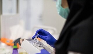 هزینه تست PCR در بخش خصوصی اعلام شد