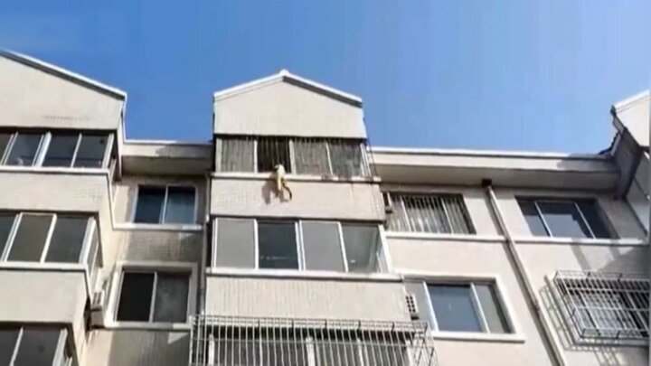 لحظه دلهره‌آور نجات جان کودک معلق از پنجره آپارتمان/ فیلم