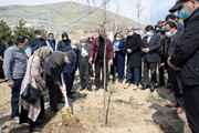 برگزاری آیین درختکاری پایتخت به یاد شاعران و ترانه سرایان معاصر