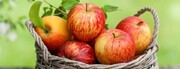کاهش وزن و لاغری با مصرف این میوه