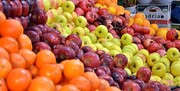 توزیع میوه شب عید تا ۱۵ درصد کمتر از قیمت بازار