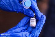 ایمنی واکسن «کوویران» در فاز یک تایید شد/ زمان انجام واکسیناسیون عمومی واکسن «کووایران»