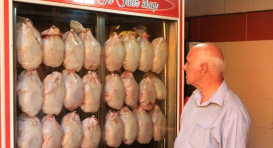 ۳ دلیل احتمالی برای کمبود مرغ در بازار