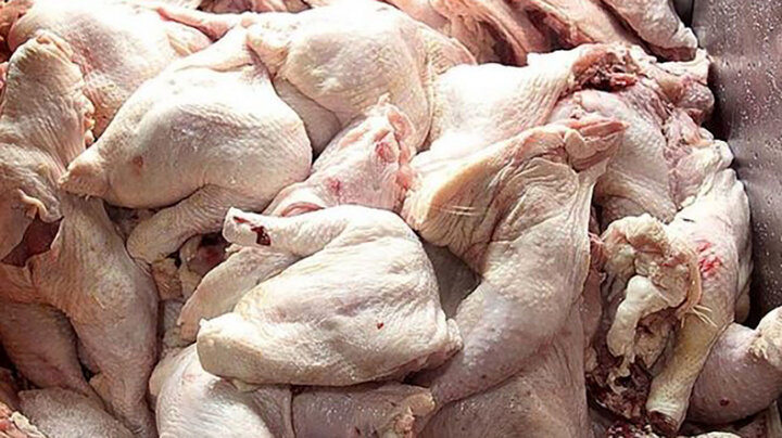  توزیع مرغ فاسد در بازار ابهر!