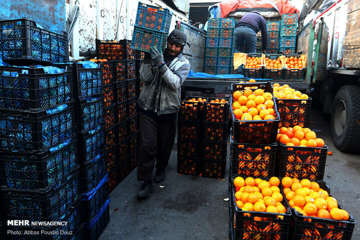 قیمت پرتقال و سیب دولتی چقدر است؟