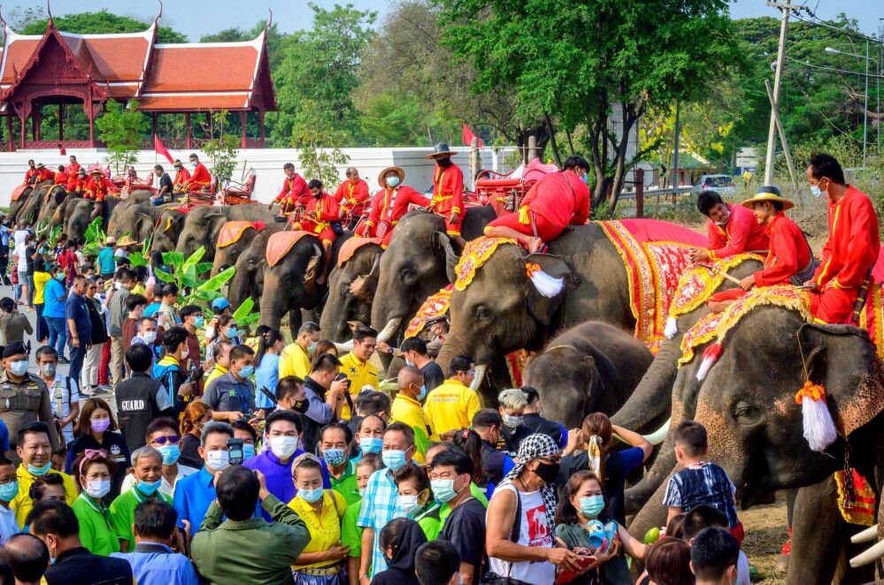 تصاویر دیدنی از روز ملی فیل در تایلند