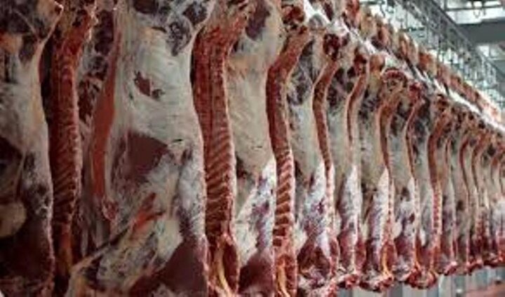 جدیدترین قیمت گوشت قرمز در آستانه سال جدید/ هر کیلو شقه گوسفندی ۱۲۸ هزار تومان