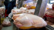 وزیر صمت: مرغ منجمد با کیفیت و قیمت مناسب عرضه می‌شود