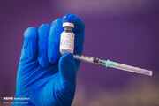 آمار واردات واکسن کرونا از دو کشور روسیه و هند به ایران