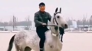 مهارت خارق العاده یک سوارکار در اسب سواری/ فیلم