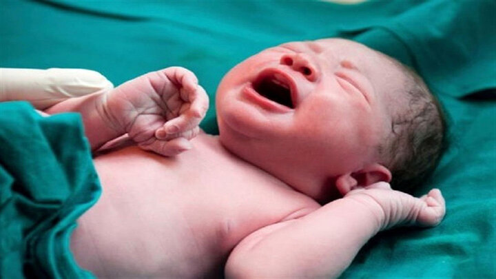 عجول ترین نوزاد سال ۱۴۰۰ بدنیا آمد