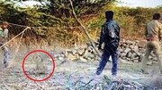 فداکاری ماموران جنگلبانی برای نجات توله شیر از تله!/ فیلم
