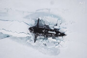 زیردریایی‌های هسته‌ای روسیه در قطب شمال / فیلم