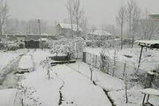 بارش برف بهاری در استان مازندران / فیلم