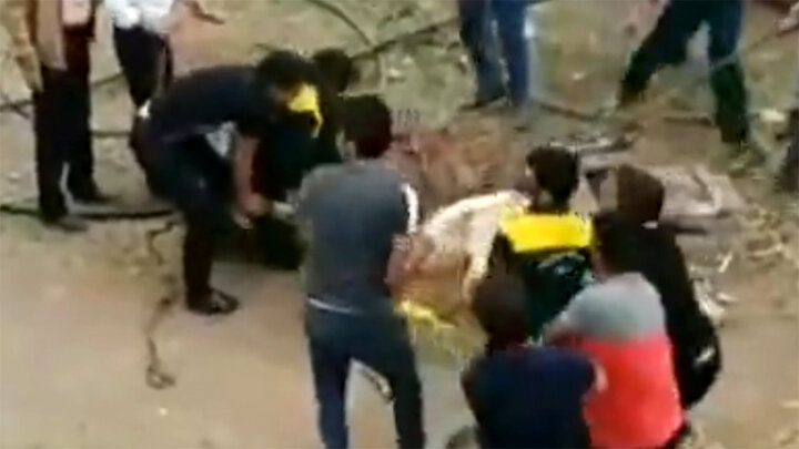 نجات شتر گرفتار در دهنه چاه در قمصر کاشان توسط شهروندان / فیلم