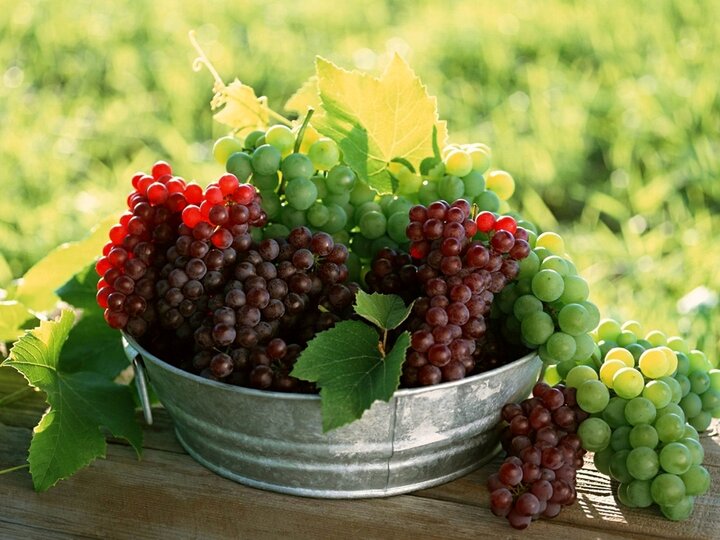 درمان شگفت‌انگیز کمردرد با مصرف این میوه