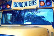 پرت شدن یک گوزن به داخل اتوبوس مدرسه / فیلم