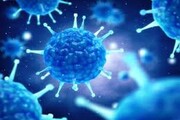 ارتباط بین ویروس سرماخوردگی و کرونا کشف شد