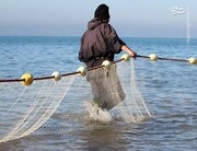 صید ماهی عظیم الجثه توسط صیادان مازندرانی / فیلم