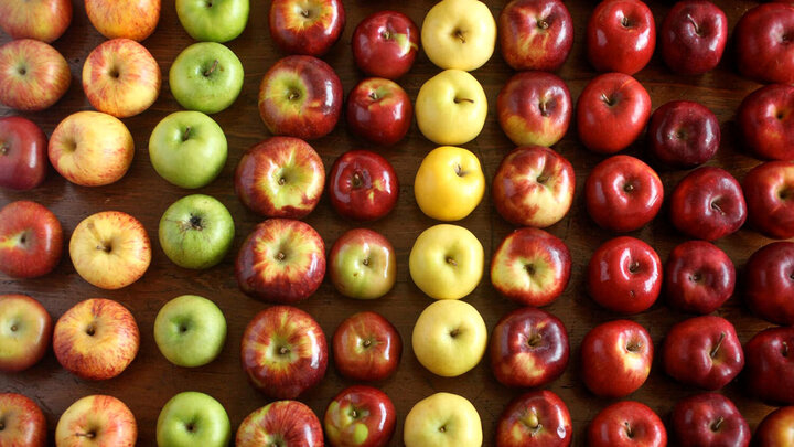 کاهش وزن و لاغری با مصرف این میوه‌ها