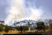 خطر آتش‌سوزی در جنگل‌ها امسال در چه حدی است؟