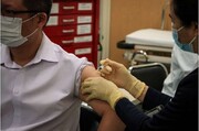 کشف مهم پژوهشگران آمریکایی درباره تزریق واکسن کرونا به بهبودیافتگان
