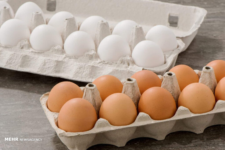  قیمت تخم مرغ به زیر نرخ مصوب رسید!