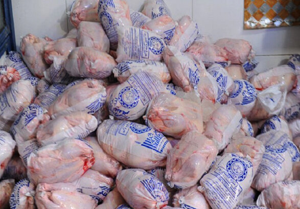  دلیل افزایش دوباره قیمت مرغ مشخص شد