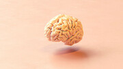 دانشمندان موفق به ساخت مغز با چاپگر ۳ بعدی شدند!