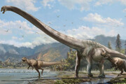 کشف فسیل حیوانی از دوران دایناسورها در شیلی / فیلم