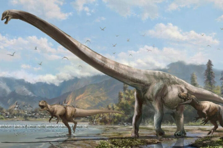 کشف فسیل حیوانی از دوران دایناسورها در شیلی / فیلم