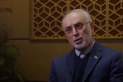 صالحی: اقدام علیه تاسیسات نطنز نشان دهنده ناکامی مخالفان مذاکرات ایران برای رفع تحریم‌ها است/ جامعه بین المللی برخورد کند
