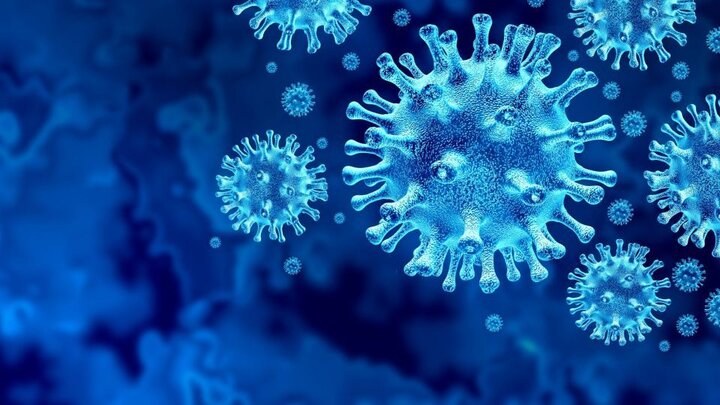 راه اصلی انتقال ویروس کرونا به انسان مشخص شد