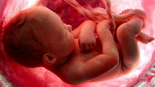 طرح جدید مجلس برای سقط جنین؛ ۲ فقیه و یک قاضی هم نظر می‌دهند